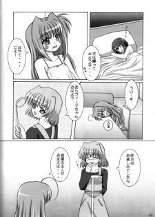 (C72) [Ekitou Koubou (Sawatari Reiji)] Super Rabbit (Mahou Shoujo Lyrical Nanoha) - page 27