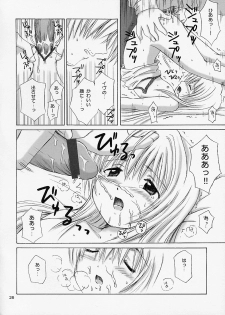 (C62) [Nikopondo (Aoyama Reo)] Eve ~ Like An Angel ~ 4 (Black Cat) - page 26