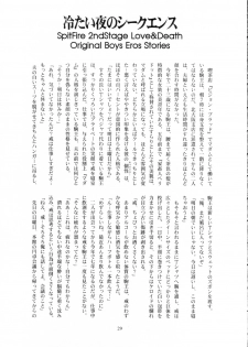 [有頂天 (有頂天)] スピットファイア冷たい夜のシークエンス 2 - page 28