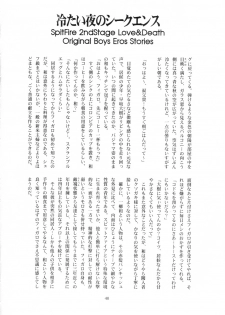 [有頂天 (有頂天)] スピットファイア冷たい夜のシークエンス 2 - page 39