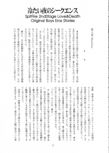 [有頂天 (有頂天)] スピットファイア冷たい夜のシークエンス 2 - page 26