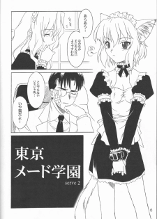 (CR21) [.30-06 (Tsutsumi Akari)] MAiDNESS - page 6