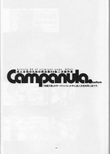 (SUPER 21) [Article 60 of Criminal Code (Shuhan)] Campanula. (Shinrabanshou Choco) - page 3