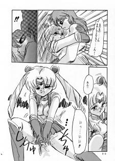 [MISTY MIDNIGHT (Shirasaka Biyu)] Twilight (Bishoujo Senshi Sailor Moon) - page 29