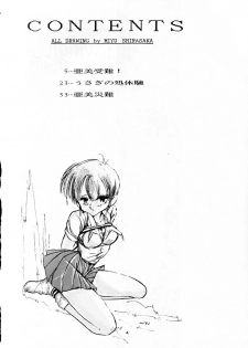 [MISTY MIDNIGHT (Shirasaka Biyu)] Twilight (Bishoujo Senshi Sailor Moon) - page 3