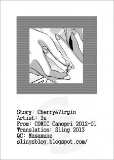 [3u] Hustle Cherry&Virgin (Canopri Comic 2012-01 Vol.15) [English] {Sling} - page 17