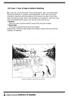 (C83) [Hyakki Yakou (Z-ton)] Centaur Musume de Manabu Hajimete no Thoroughbred | Learning With Centaur Girls: Introduction To The Thoroughbred [English] [4dawgz + Thetsuuyaku] - page 12