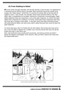 (C83) [Hyakki Yakou (Z-ton)] Centaur Musume de Manabu Hajimete no Thoroughbred | Learning With Centaur Girls: Introduction To The Thoroughbred [English] [4dawgz + Thetsuuyaku] - page 13