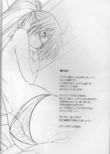 (C83) [IV VA SHIN (Mikuni Mizuki)] Home Sweet Home ~Signum Hen~ (Mahou Shoujo Lyrical Nanoha) - page 2