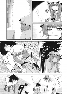 (C82) [Fugodoku (Katou Fuguo)] SURUDAKE Ni. (Touhou Project) - page 12