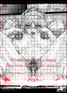 [光華猟兵] Prelfillust Extra.1 Joint+ex - page 1