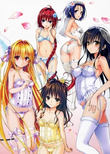 [Yabuki Kentarou] To LOVE-ru -Trouble- Darkness Gashuu Venus - page 3