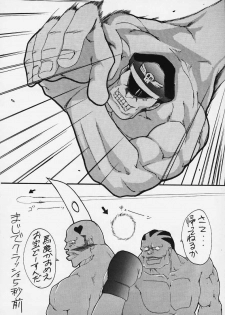 [Tail of Nearly (WAKA)] SP02 (Street Fighter) - page 29