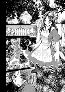 (C83) [Yuugai Tosho Kikaku (Tanaka Naburu)] Akumu Hon ~Nightmare Book~ (American McGee's Alice) - page 3