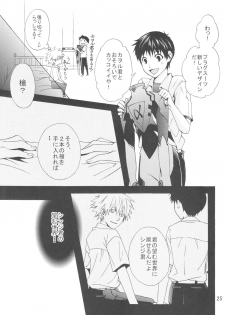 (C83) [Praline (Suzunari Natsuru)] Nr.9 (Neon Genesis Evangelion) - page 22