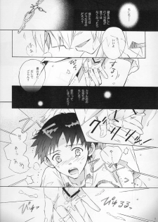 (SUPER21) [YozorairoDrops (Yoko Mawatari)] Wednesday (Neon Genesis Evangelion) - page 9