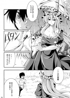 (C80) [Desuno!! (Fuyuwa Kotatsu)] Welcome to Wonder World (Touhou Project) - page 3