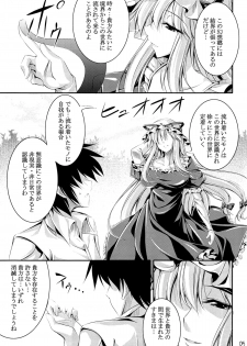 (C80) [Desuno!! (Fuyuwa Kotatsu)] Welcome to Wonder World (Touhou Project) - page 4