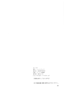 (COMIC1☆4) [Ryuknigthia (Kiduki Erika)] Daily RO 2 (Ragnarok Online)[English][SMDC] - page 29