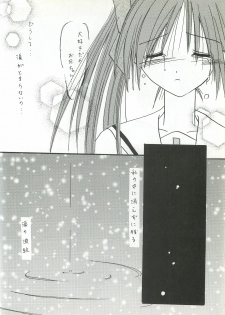 [FINAL EVOLUTION S-RS (ZAN, Chosuke)] VISUAL DESIRE 2 (With You) - page 39