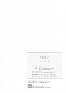 (C83) [Kougeki (Ootsuki Wataru)] Hashihime Shinshoku -San- (Touhou Project) - page 26