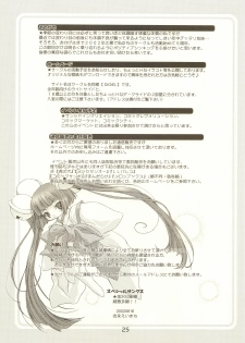 (SC16) [DiGiEL (Yoshinaga Eikichi)] laplus (Chobits) - page 24