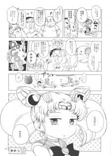 (C83) [Hitsuji Drill (Ponpon Itai)] Chibiusa no Himitsu Diary (Bishoujo Senshi Sailor Moon) - page 23