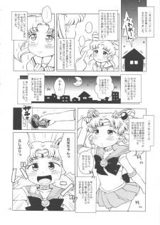 (C83) [Hitsuji Drill (Ponpon Itai)] Chibiusa no Himitsu Diary (Bishoujo Senshi Sailor Moon) - page 11