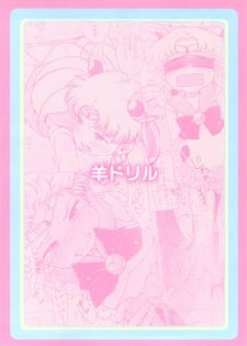 (C83) [Hitsuji Drill (Ponpon Itai)] Chibiusa no Himitsu Diary (Bishoujo Senshi Sailor Moon) - page 26