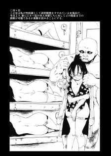 [PARANOIA CAT (Fujiwara Shunichi)] Zoku Gokkan no Jikkenshitsu (One Piece) [Digital] - page 3