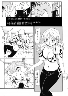 [PARANOIA CAT (Fujiwara Shunichi)] Zoku Gokkan no Jikkenshitsu (One Piece) [Digital] - page 10