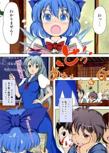 (C81) [Palm Sunday (Leli)] Touhou Kinoko Gaku ~ Cirno no Kosodate Funtouki 2!? ~ (Touhou Project) - page 4