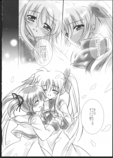 (C83) [Ameiro (Nanashiki)] Hatsu Yoru. (Mahou Shoujo Lyrical Nanoha) - page 26