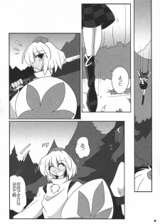 (C81)[Kieyza cmp (Kieyza)] TOHO N+ 81 AIN (Touhou Project) - page 6