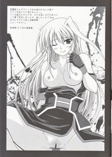 (Lyrical Magical 14) [Take Out (Zeros)] Yami no Yuuwaku (Mahou Shoujo Lyrical Nanoha) - page 26