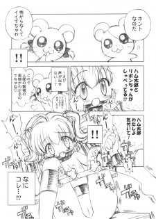 (C65) [Furaipan Daimaou Dennou Club (Chouchin Ankou)] PLANET OF THE HAMS: Prologue (Hamtaro) - page 5