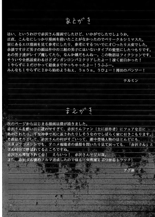 (CT20) [Haiana Gumentai (Theremin, Agumen)] Akazawa Jigoku-hen (Another) - page 23