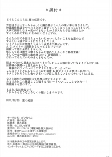 (Reitaisai SP2) [Gainamon (Natsu no Koucha)] Choukyou Syuukann (Touhou Project) - page 38