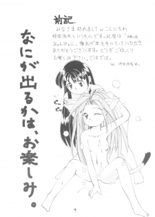 (C47) [O-Hana no Mise Myonmyon (various)] Touhou Huhai (Samurai Spirits) - page 3