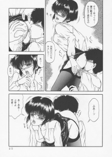 (C45) [D'Erlanger (Yamazaki Show)] Larmes De Sang ~Hametsu Ni Mukkate~ - page 22