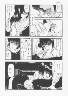 (C45) [D'Erlanger (Yamazaki Show)] Larmes De Sang ~Hametsu Ni Mukkate~ - page 18