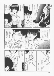 (C45) [D'Erlanger (Yamazaki Show)] Larmes De Sang ~Hametsu Ni Mukkate~ - page 11