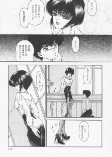 (C45) [D'Erlanger (Yamazaki Show)] Larmes De Sang ~Hametsu Ni Mukkate~ - page 26