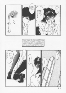 (C45) [D'Erlanger (Yamazaki Show)] Larmes De Sang ~Hametsu Ni Mukkate~ - page 21