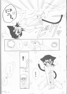 (SUPER14) [PONCHEES (KARI) (Irohane Sui)] STRAWBERRY ON THE SHORTCAKE (BLEACH) - page 20