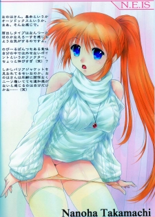 (C75) [Nomugicha (Ayato)] N.E.IS IV (Mahou Shoujo Lyrical Nanoha) - page 3