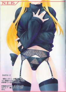 (C75) [Nomugicha (Ayato)] N.E.IS IV (Mahou Shoujo Lyrical Nanoha) - page 2