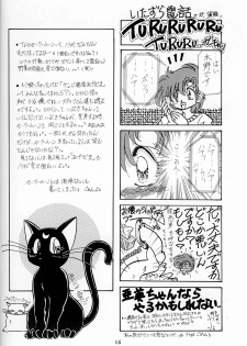 (C43) [LIVELY BOYS (various)] Princess Moon (Bishoujo Senshi Sailor Moon) - page 17