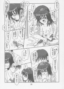 (Comic Castle 2005) [Schwester (Shirau Inasaki)] Rollin 21 (Touhou Project) - page 14