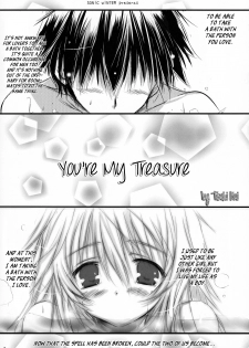 (COMIC1☆5) [SONIC WINTER (Tsukishima Kai)] Kimi wa Boku no Takaramono | You're My Treasure (IS <Infinite Stratos>) [English] (Rapid Switch) - page 6